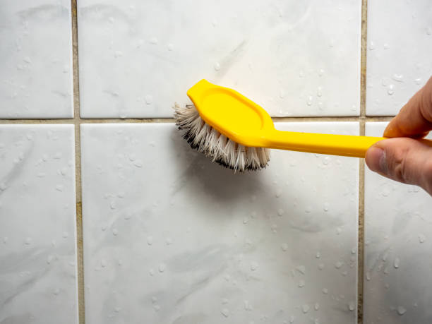 Best DIY Mold Remediation Support Services in Portola Valley, CA
