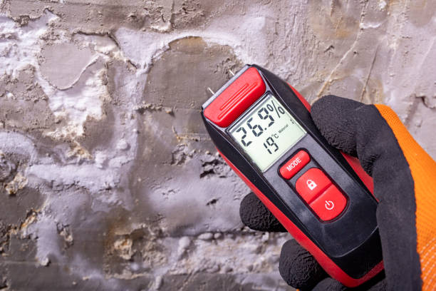 Best Attic Mold Remediation in Portola Valley, CA