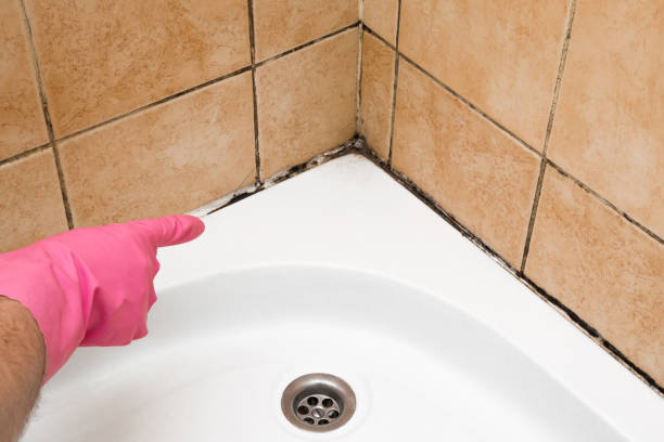 Best Localized Mold Remediation (e.g., coastal areas, humid climates) in Portola Valley, CA